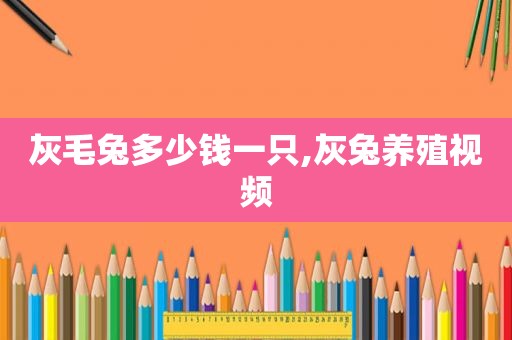 灰毛兔多少钱一只,灰兔养殖视频