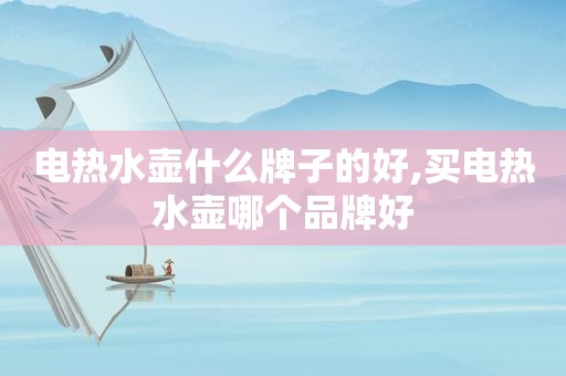 电热水壶什么牌子的好,买电热水壶哪个品牌好