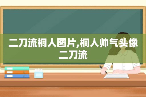 二刀流桐人图片,桐人帅气头像二刀流