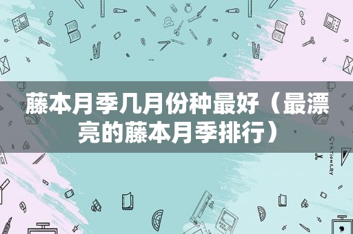藤本月季几月份种最好（最漂亮的藤本月季排行）