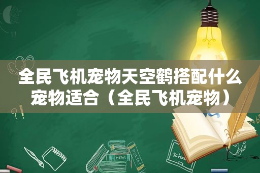 全民飞机宠物天空鹤搭配什么宠物适合（全民飞机宠物）