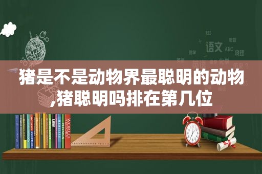 猪是不是动物界最聪明的动物,猪聪明吗排在第几位