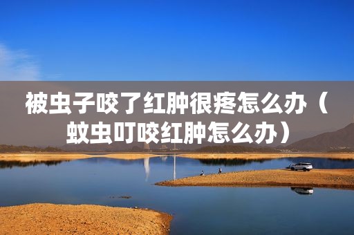 被虫子咬了红肿很疼怎么办（蚊虫叮咬红肿怎么办）