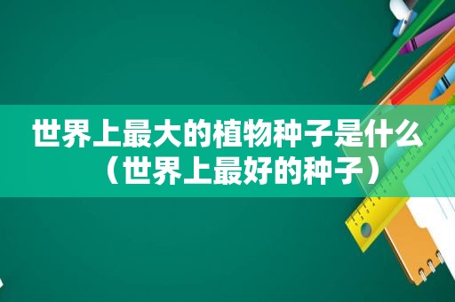 世界上最大的植物种子是什么（世界上最好的种子）