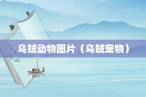 乌贼动物图片（乌贼宠物）
