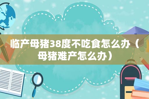 临产母猪38度不吃食怎么办（母猪难产怎么办）