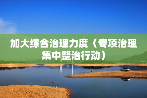 加大综合治理力度（专项治理集中整治行动）