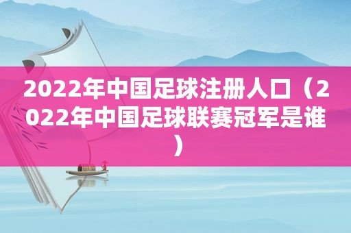 2022年中国足球注册人口（2022年中国足球联赛冠军是谁）