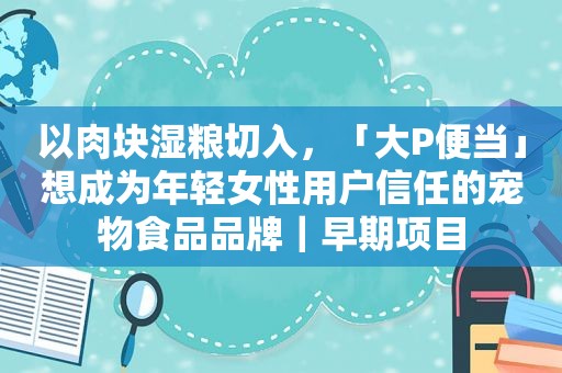 以肉块湿粮切入，「大P便当」想成为年轻女性用户信任的宠物食品品牌｜早期项目