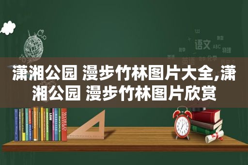 潇湘公园 漫步竹林图片大全,潇湘公园 漫步竹林图片欣赏