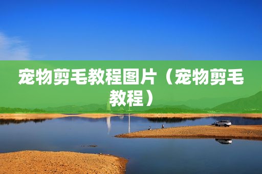 宠物剪毛教程图片（宠物剪毛教程）