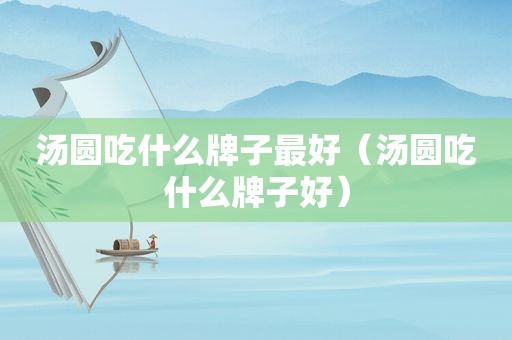 汤圆吃什么牌子最好（汤圆吃什么牌子好）