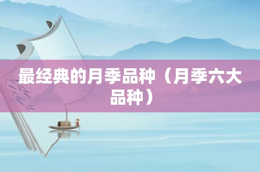 最经典的月季品种（月季六大品种）