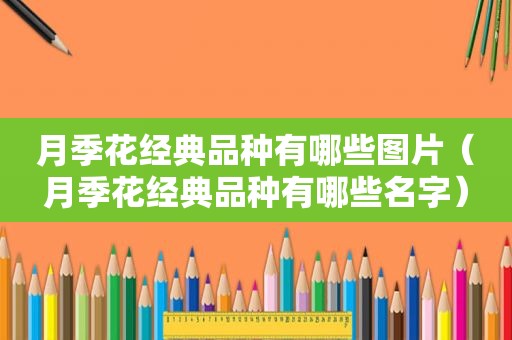 月季花经典品种有哪些图片（月季花经典品种有哪些名字）