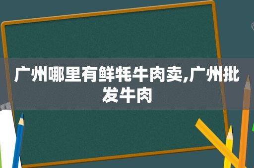 广州哪里有鲜牦牛肉卖,广州批发牛肉