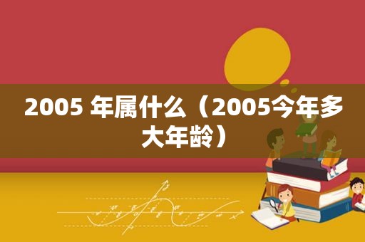 2005 年属什么（2005今年多大年龄）