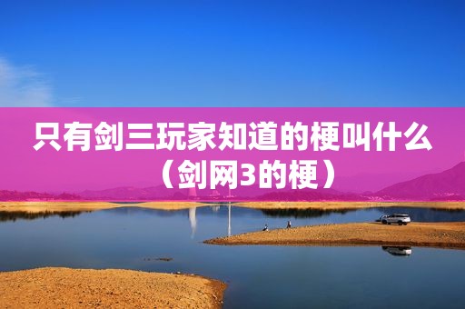 只有剑三玩家知道的梗叫什么（剑网3的梗）
