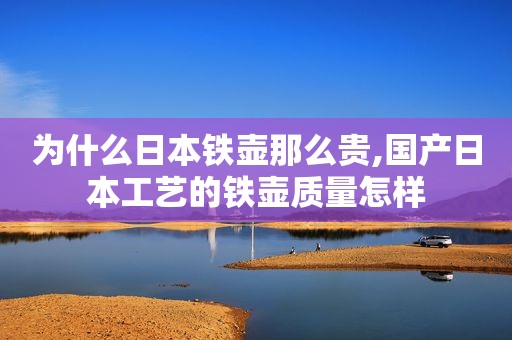 为什么日本铁壶那么贵,国产日本工艺的铁壶质量怎样