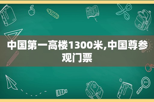 中国第一高楼1300米,中国尊参观门票