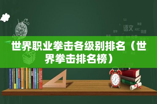 世界职业拳击各级别排名（世界拳击排名榜）