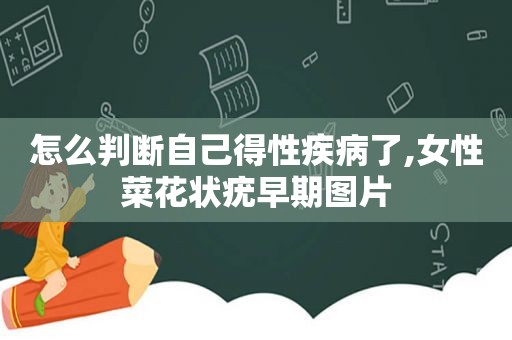 怎么判断自己得性疾病了,女性菜花状疣早期图片