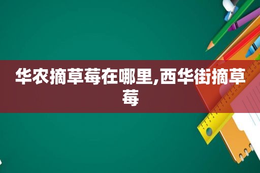 华农摘草莓在哪里,西华街摘草莓