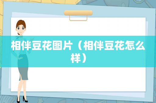 相伴豆花图片（相伴豆花怎么样）