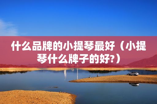什么品牌的小提琴最好（小提琴什么牌子的好?）