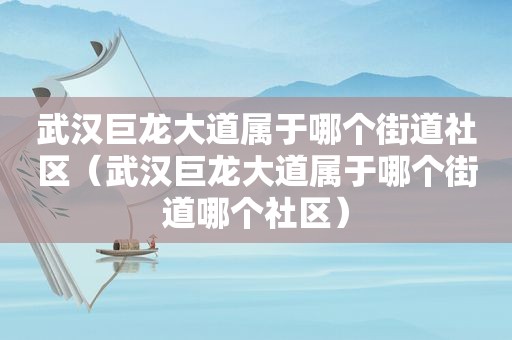 武汉巨龙大道属于哪个街道社区（武汉巨龙大道属于哪个街道哪个社区）