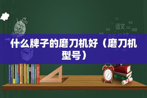 什么牌子的磨刀机好（磨刀机型号）