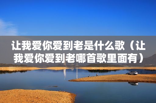 让我爱你爱到老是什么歌（让我爱你爱到老哪首歌里面有）