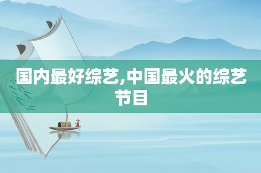 国内最好综艺,中国最火的综艺节目