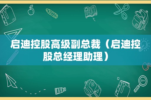 启迪控股高级副总裁（启迪控股总经理助理）