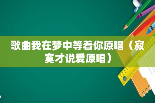 歌曲我在梦中等着你原唱（寂寞才说爱原唱）