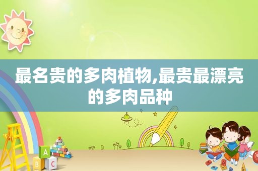 最名贵的多肉植物,最贵最漂亮的多肉品种