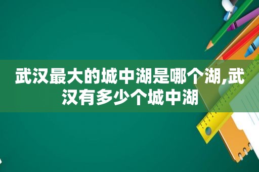 武汉最大的城中湖是哪个湖,武汉有多少个城中湖