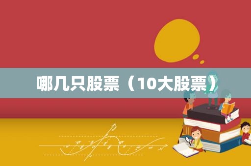 哪几只股票（10大股票）