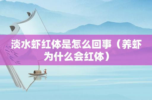 淡水虾红体是怎么回事（养虾为什么会红体）
