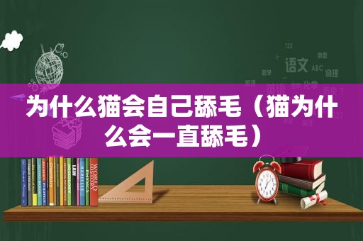 为什么猫会自己舔毛（猫为什么会一直舔毛）