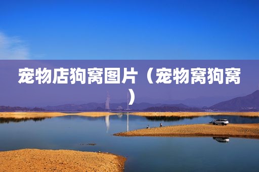 宠物店狗窝图片（宠物窝狗窝）