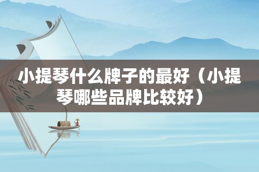 小提琴什么牌子的最好（小提琴哪些品牌比较好）