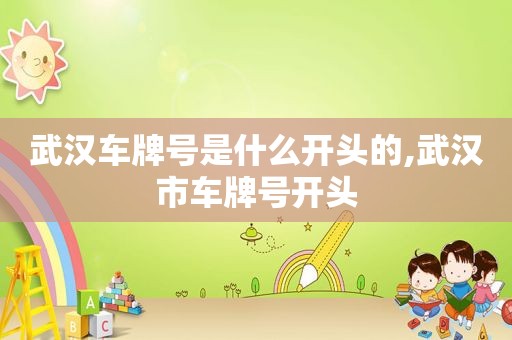 武汉车牌号是什么开头的,武汉市车牌号开头