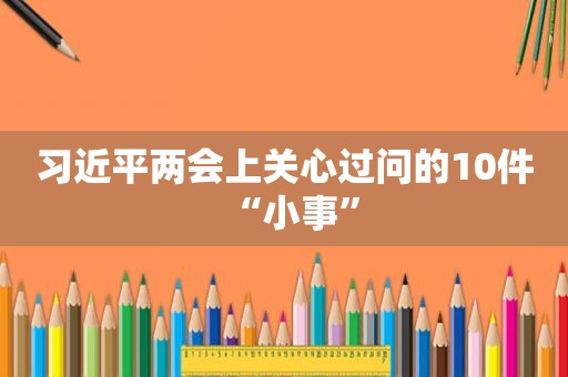  *** 两会上关心过问的10件“小事”