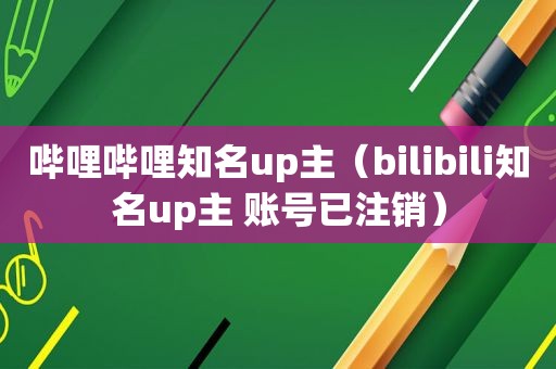 哔哩哔哩知名up主（bilibili知名up主 账号已注销）