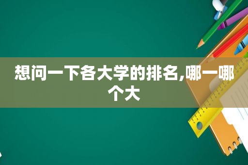 想问一下各大学的排名,哪一哪个大