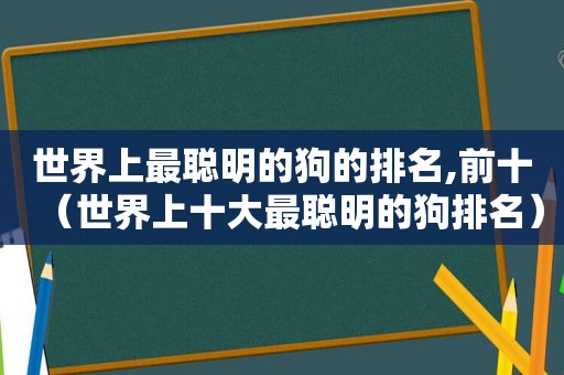 世界上最聪明的狗的排名,前十（世界上十大最聪明的狗排名）