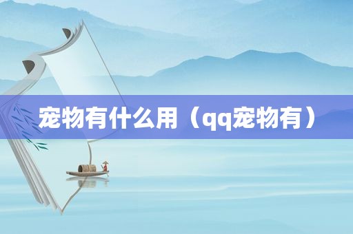 宠物有什么用（qq宠物有）