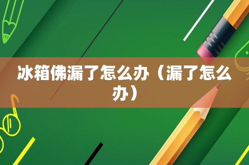 冰箱佛漏了怎么办（漏了怎么办）