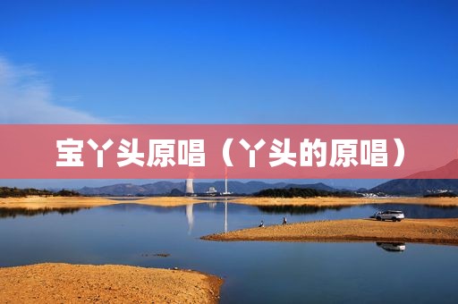 宝丫头原唱（丫头的原唱）