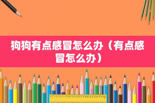 狗狗有点感冒怎么办（有点感冒怎么办）